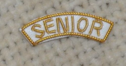 Provincial Apron Badge Appendage - DRESS - "SENIOR" - Click Image to Close